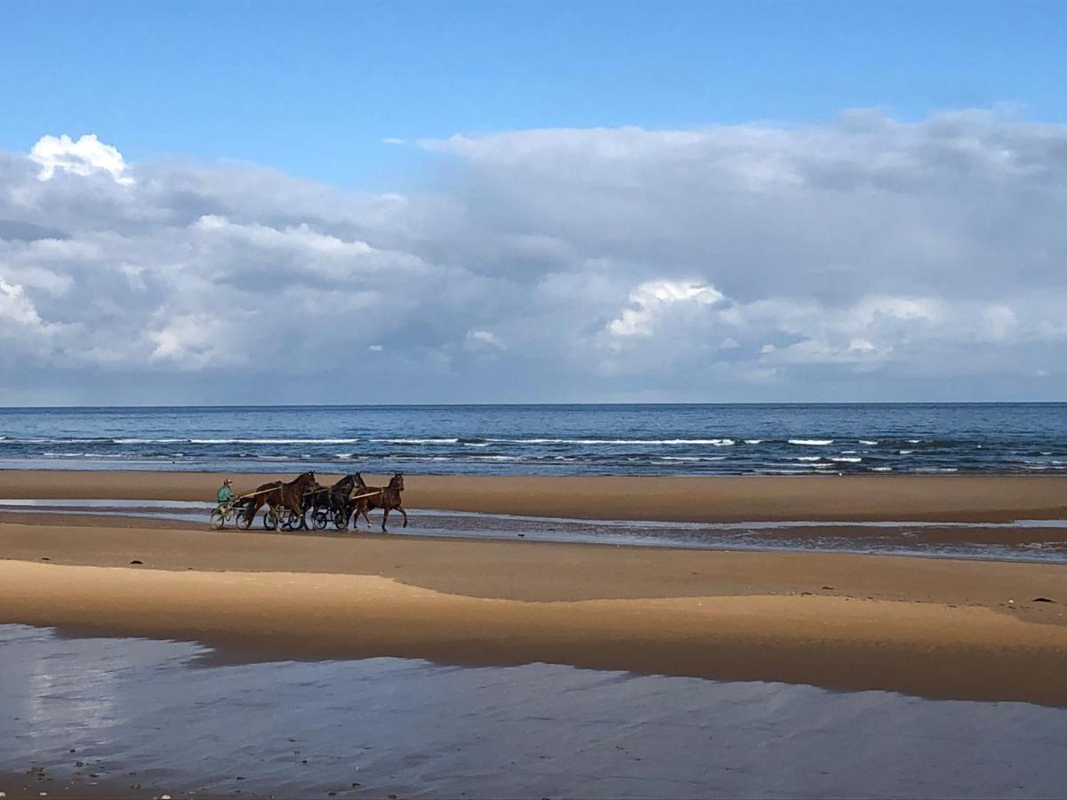 Maison Proche Omaha Beach Vue Imprenable Sur Haras Etreham Dış mekan fotoğraf